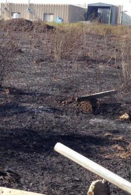 Il fuoco lambisce la zona industriale