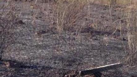 Il fuoco lambisce la zona industriale