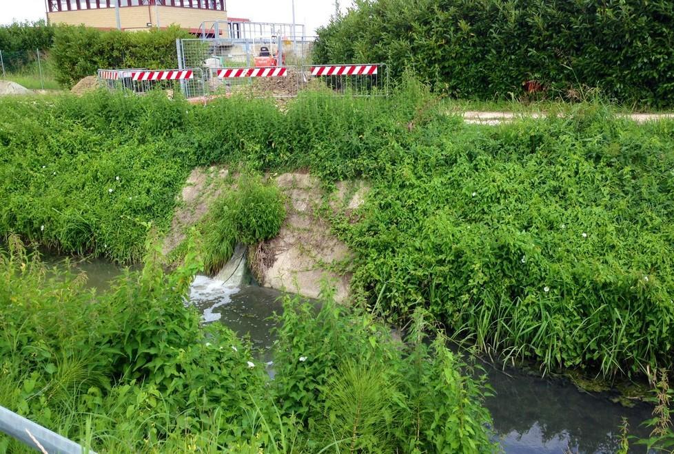 «La puzza è diventata insopportabile» 