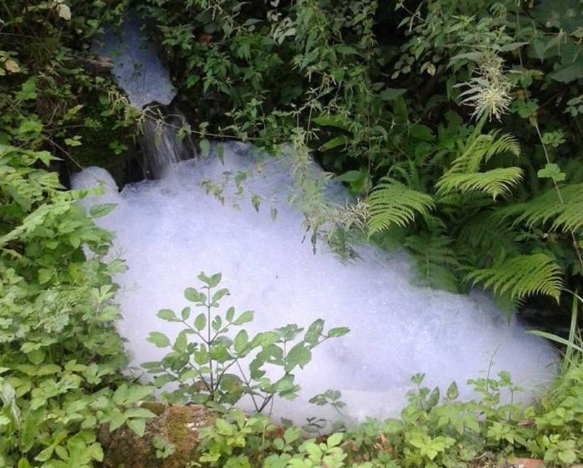 Acqua schiumosa scaricata nel bosco