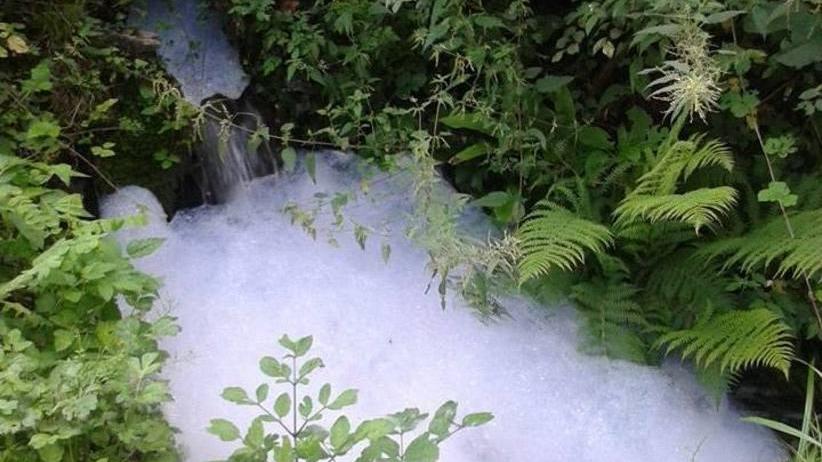 Acqua schiumosa scaricata nel bosco