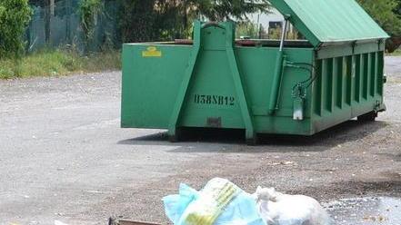 Rifiuti abbandonati a Marittimo: un pericolo per i bambini