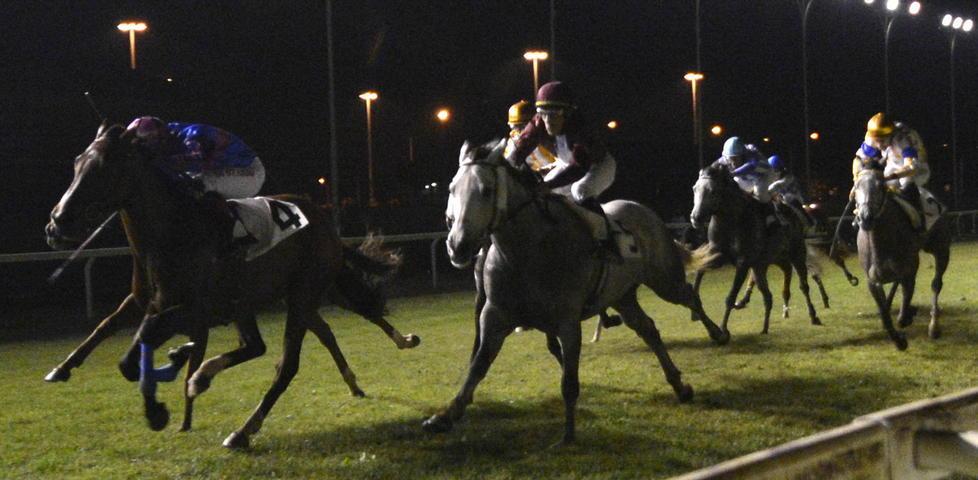 I fantini del Palio di Siena galoppano al Casalone 