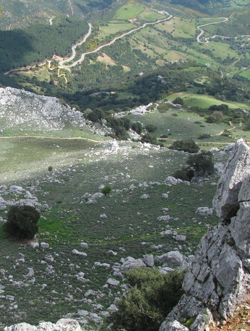 Copagri: terreni pubblici ai giovani 