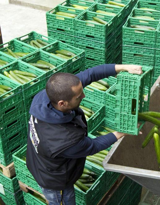 Export, bene con Arabia e Francia 