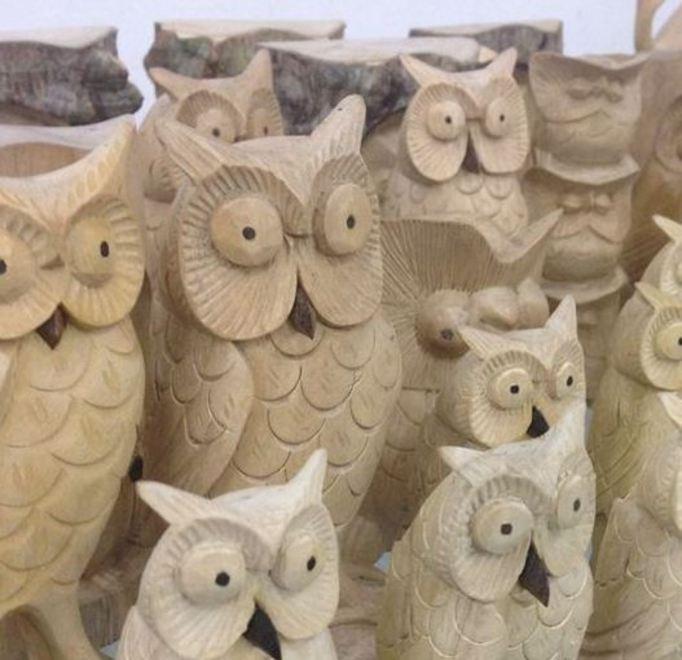 Su Facebook spuntano anche i gufi