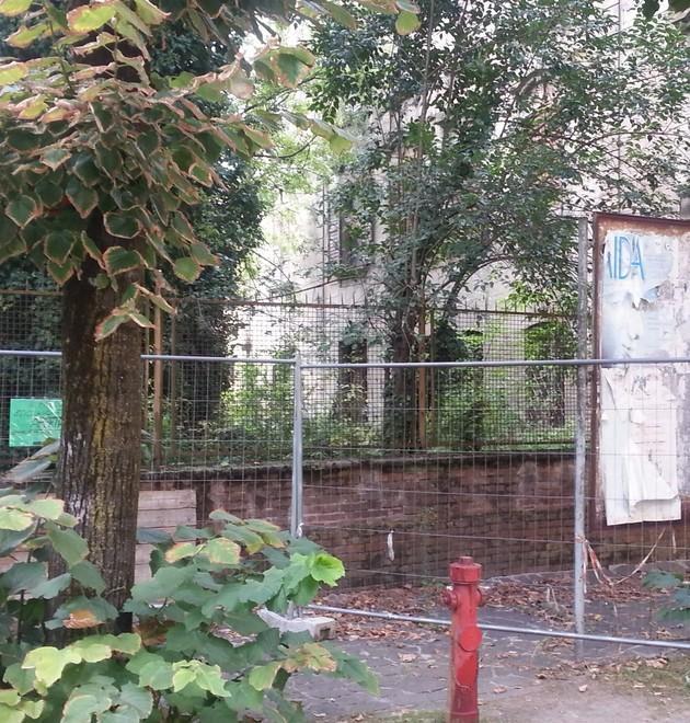 «Siamo invasi dai topi e prigionieri del degrado» 