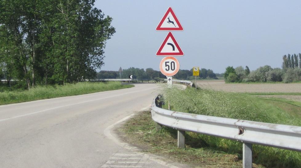 Motociclista a terra: salvato dall’intervento del bagnino
