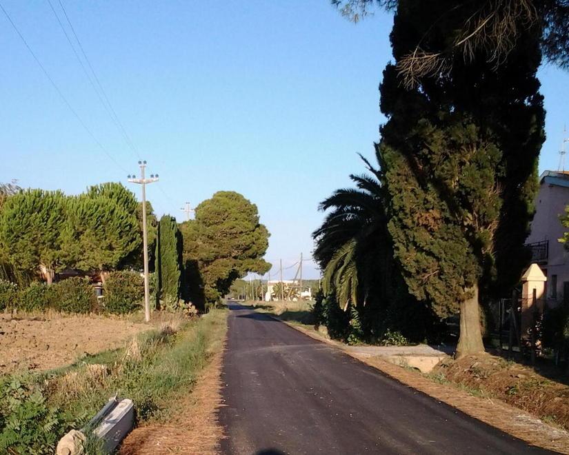Cani e padroni narcotizzati, i ladri rubano soldi e cellulari 