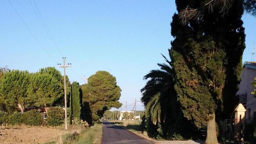 Cani e padroni narcotizzati, i ladri rubano soldi e cellulari