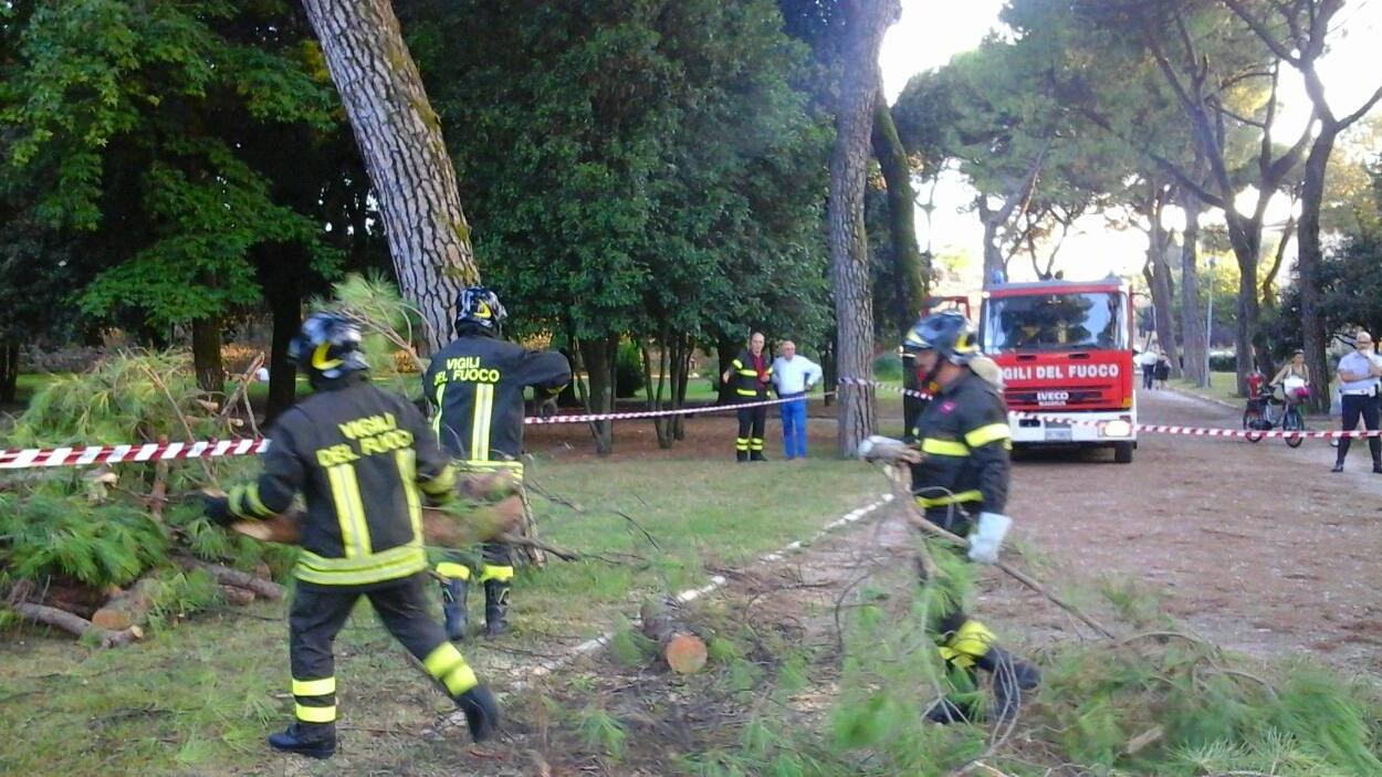 Paura al parco, ramo si spezza e colpisce una donna