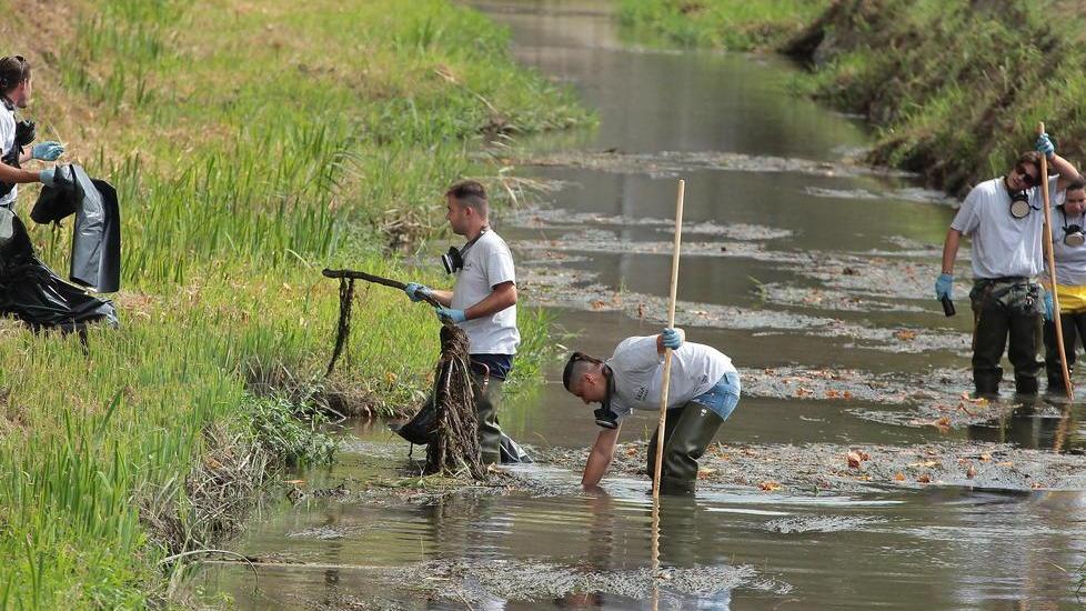 Pulito dai volontari il Fosso del Mulino venti sacchi di rifiuti