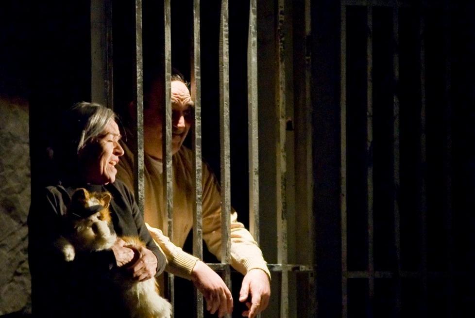 “Il gatto prigioniero” in scena all’Asinara