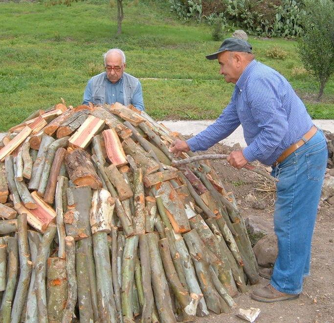 Lo scenario del Cuga accoglie il palio dell’Anglo Arabo 