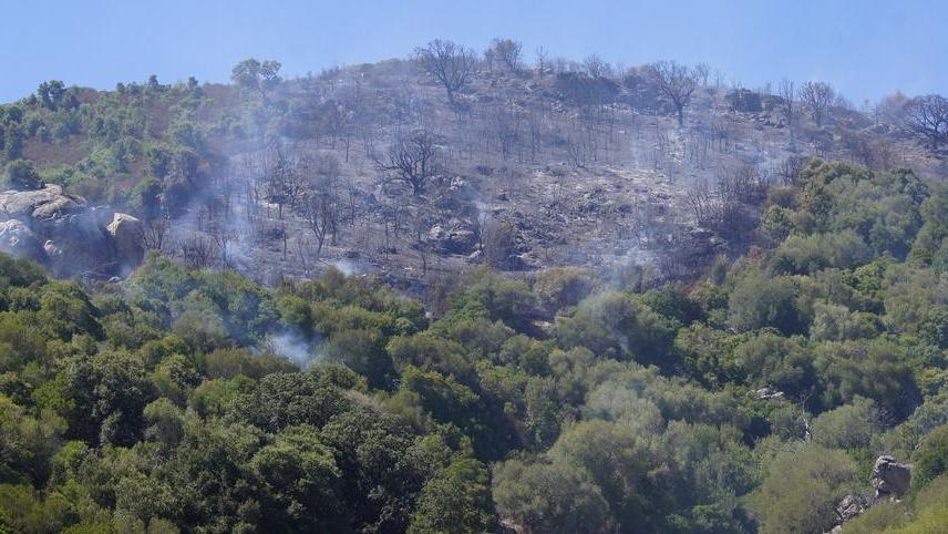 Luras, è allarme incendi: due roghi in una settimana