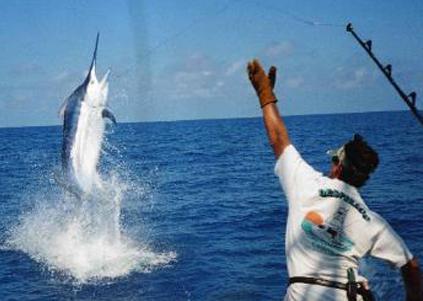 Anche Golfo Aranci entra nell’olimpo della pesca d’altura 