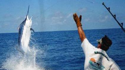 Anche Golfo Aranci entra nell’olimpo della pesca d’altura