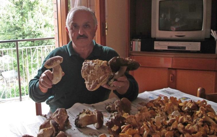 Una messe... di porcini 