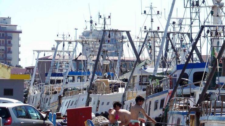 Sulle tavole solo il pesce croato e del mar Tirreno