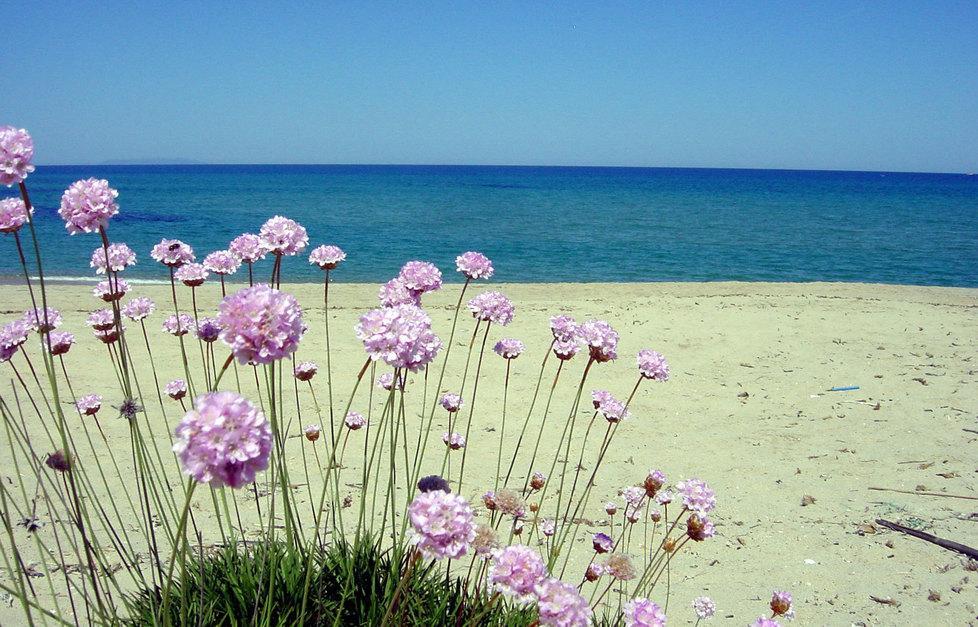 Marina di Badesi, doppia scelta: o Li Junchi o Li Mindi