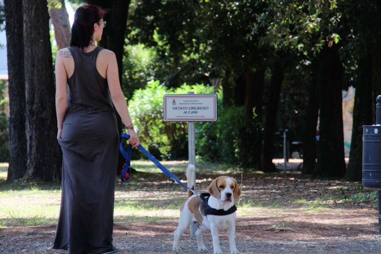 Con il cane a villa Fabbricotti, tra divieti e percorsi obbligati 