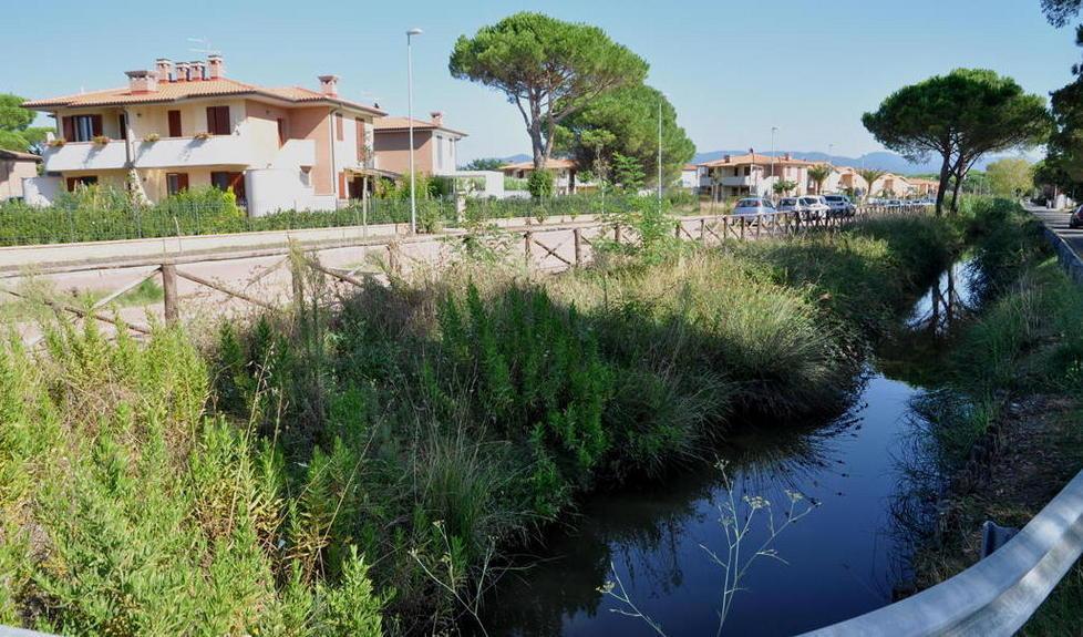 Cattivi odori, nuove proteste a Marina 