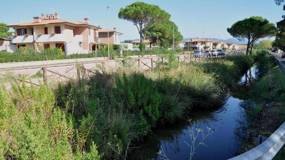 Cattivi odori, nuove proteste a Marina