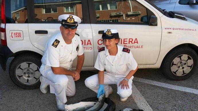 Sequestrati al porto trenta chili di pesce ai venditori abusivi