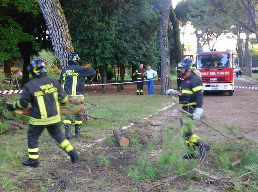 Il sindaco: impossibile prevedere la caduta di quel ramo di pino