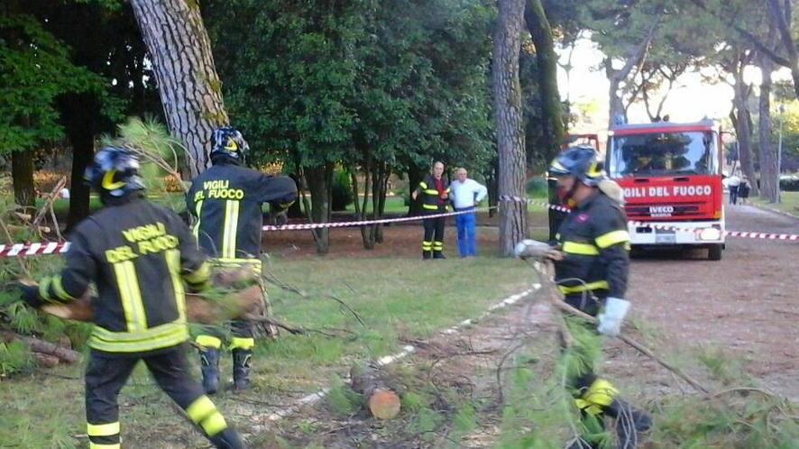Il sindaco: impossibile prevedere la caduta di quel ramo di pino