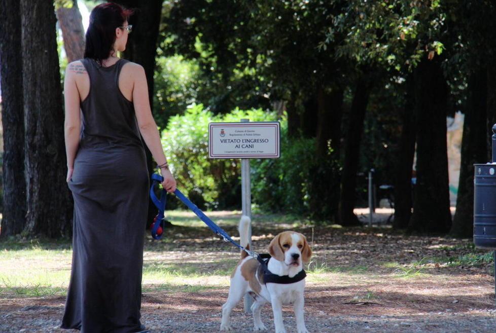 A villa Fabbricotti col cane divieti e percorsi obbligati 