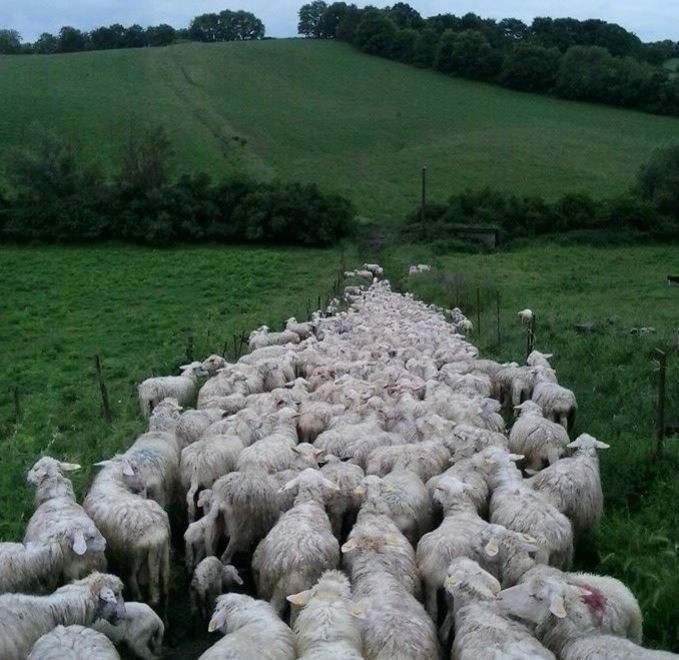 «Penalizzati da interessi estranei all’isola e all’Italia»