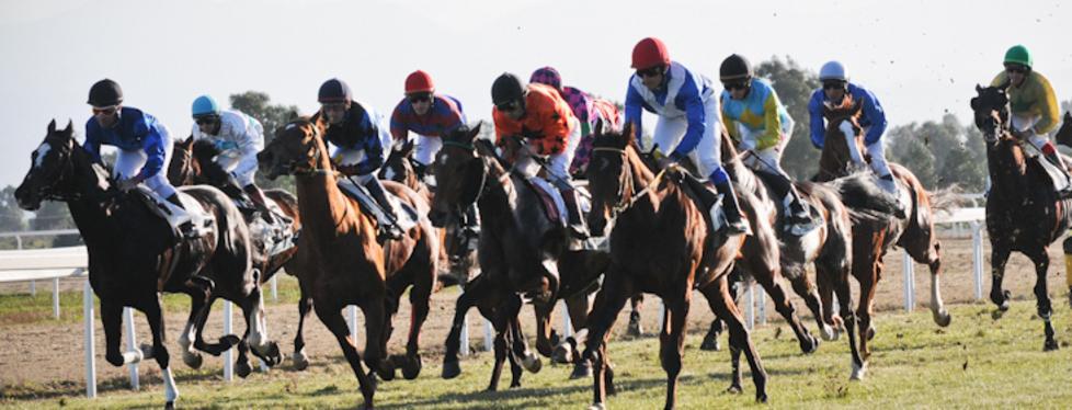 Debutto con gli arabi e con i “ top jockey” sardi 