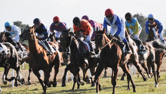Debutto con gli arabi e con i “ top jockey” sardi