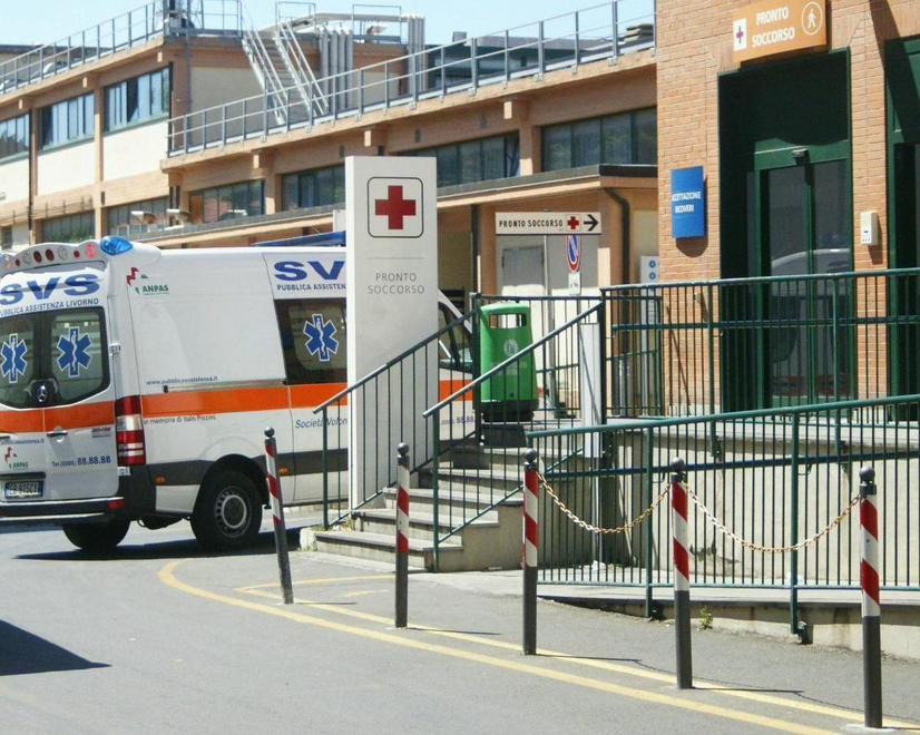 «Ci sono i topi in casa, mio figlio è stato morso» 