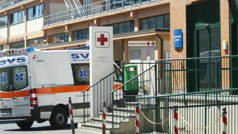 «Ci sono i topi in casa, mio figlio è stato morso»