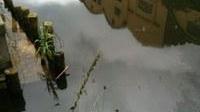 Sversamento di gasolio nel Burlamacca, si cercano i responsabili