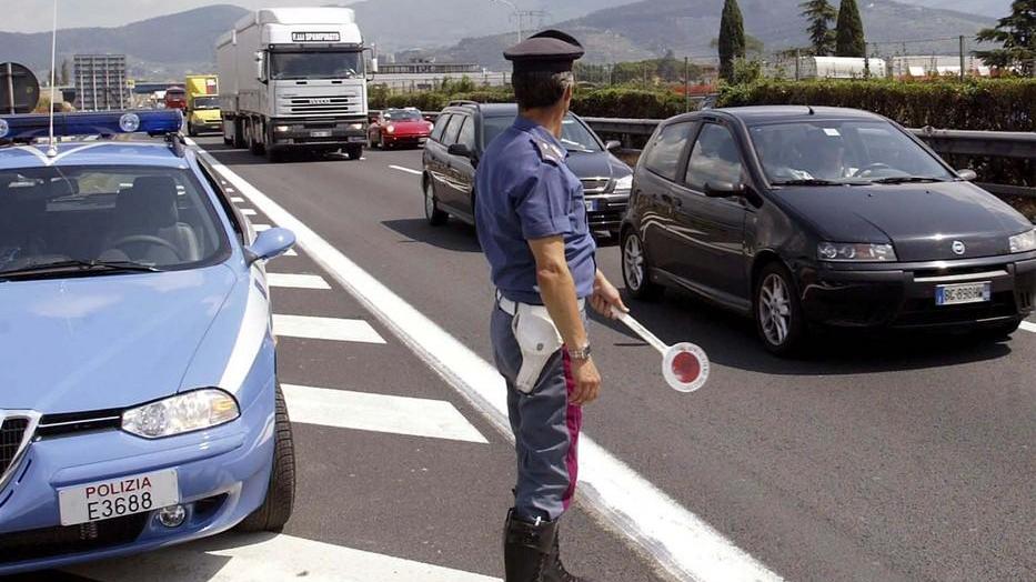 Bollatura irregolare, sequestrate 4 tonnellate e mezzo di carne suina