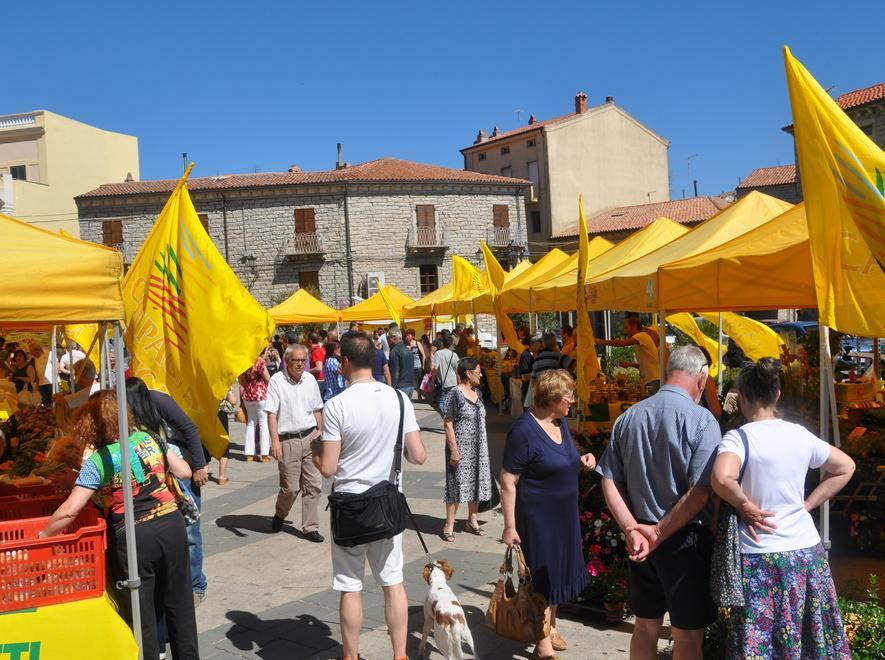 Campagna amica ritorna in piazza Gallura 