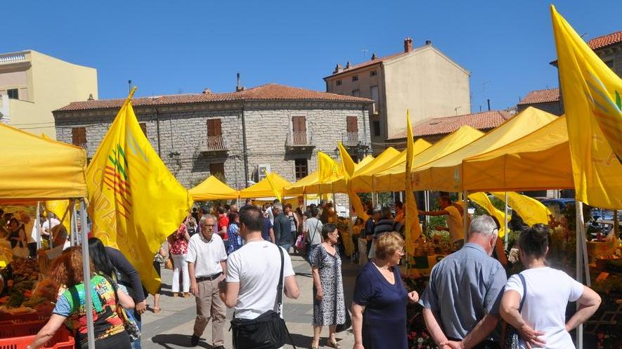 Campagna amica ritorna in piazza Gallura