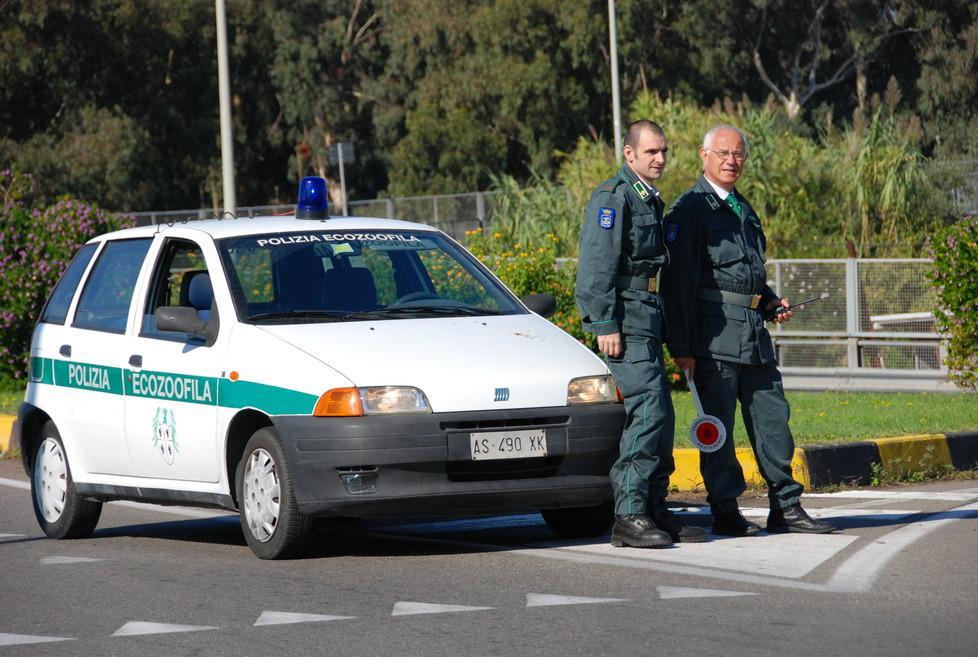 Aizza un pitbull contro una guardia zoofila, denunciato a Olbia 