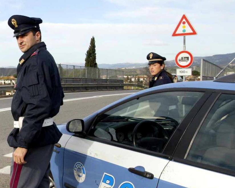 Cane vaga sulla superstrada a Empoli, automobilista lancia l’allarme 