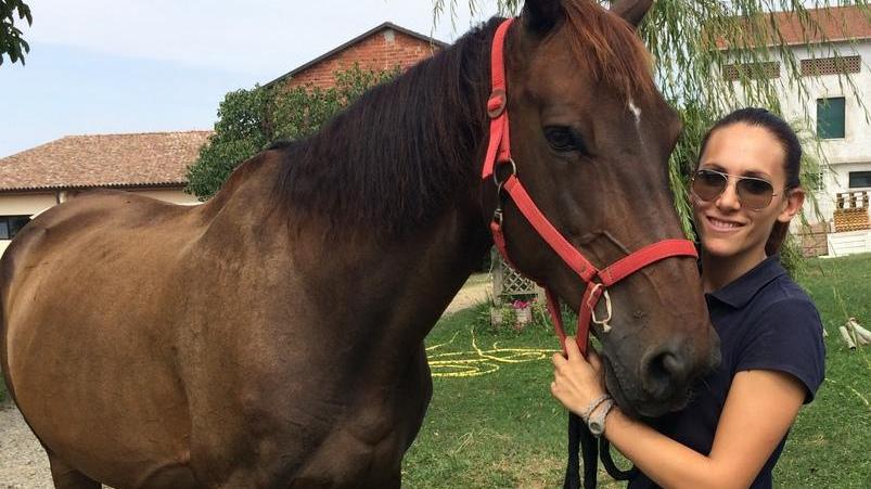 Lulù salvata dal macello ora fa lezione con i disabili