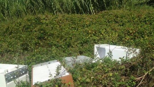 Ingombranti nei campi Cresce il fenomeno