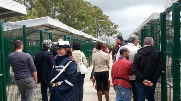Il canile passa l’esame dell’ambientalista
