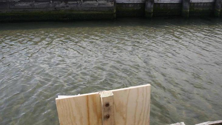 Nel mirino le vecchie analisi delle acque di balneazione