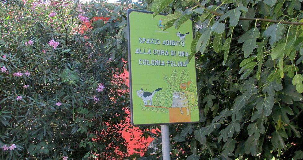 Follonica, ventisette gatti avvelenati 