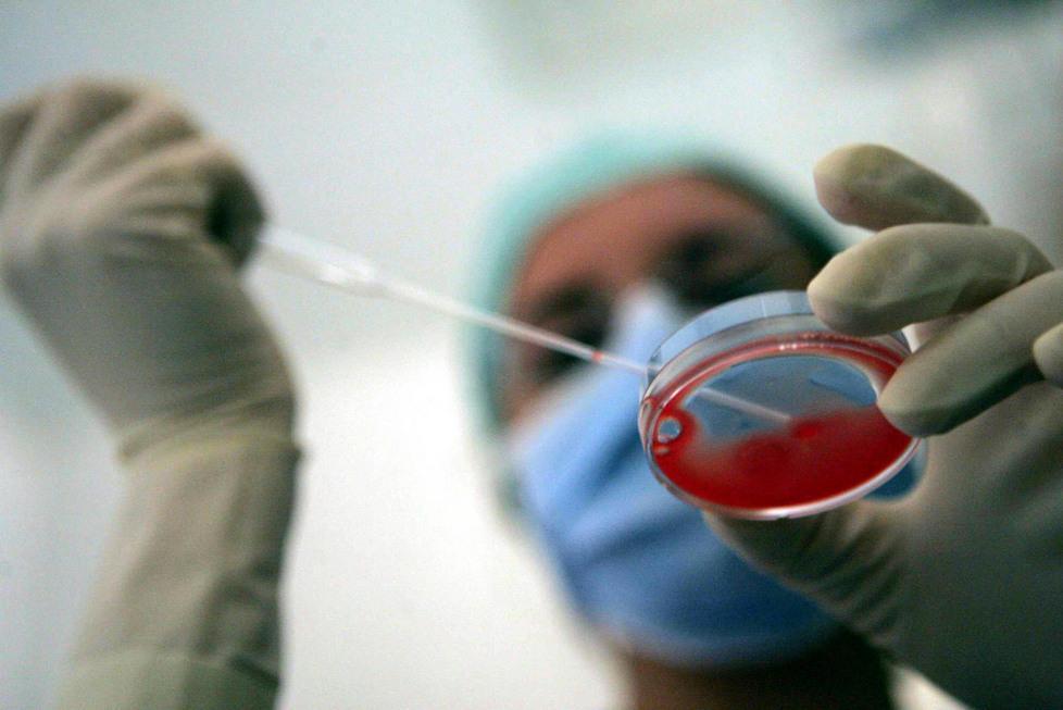 Fecondazione eterologa: la Conferenza delle Regioni approva le linee guida 