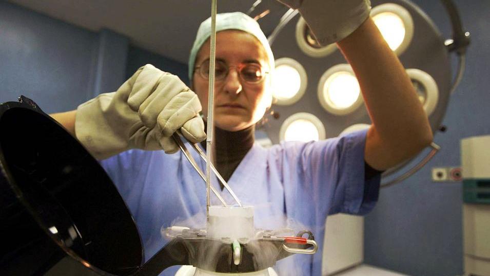 Fecondazione eterologa, la Sardegna è pronta con 3 centri