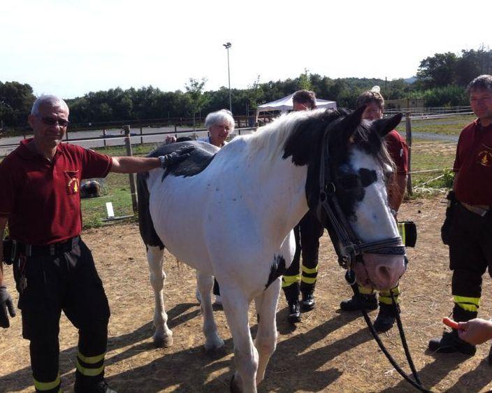 Al Centro Apodi i vigili del fuoco salvano un cavallo 